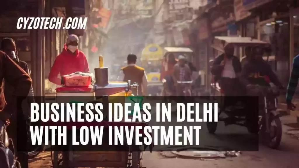 Business Ideas in Delhi with Low Investment