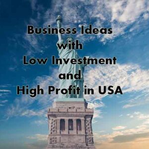 Business Ideas with Low Investment and High Profit in USA