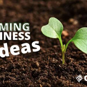 Farming Business Ideas