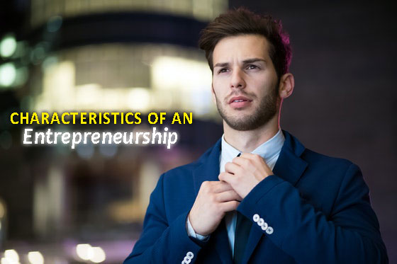 Characteristics of an Entrepreneurship