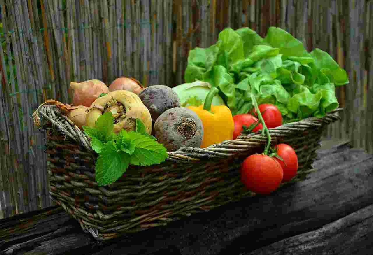 Make money by growing vegetables