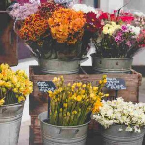 how to start a florist business in south africa