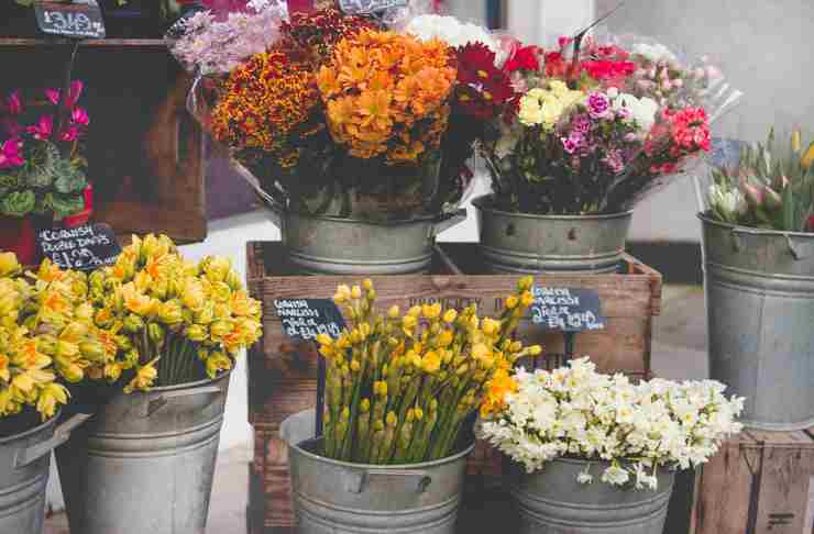 how to start a florist business in south africa