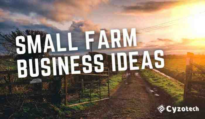 top-12-most-brilliant-small-farm-business-ideas-for-greater-income