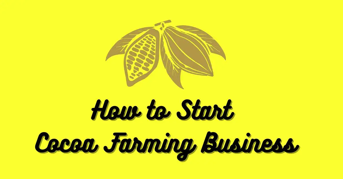 How to Start Cocoa Farming Business